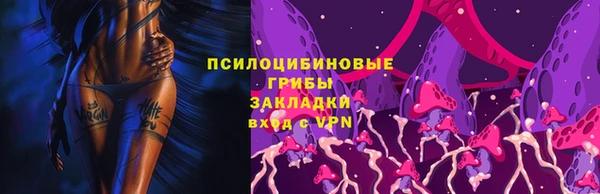ECSTASY Алзамай