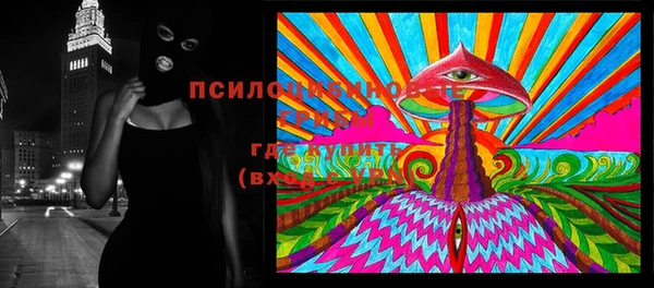 ECSTASY Алзамай