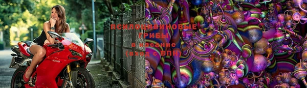 тгк Армянск