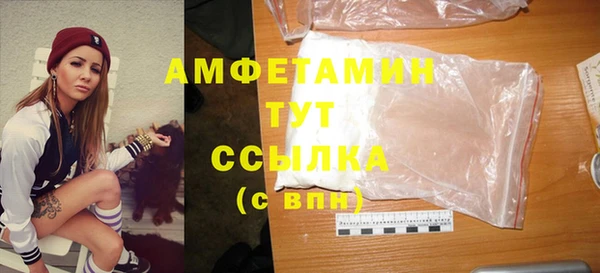 ECSTASY Алзамай