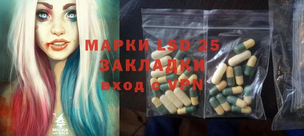 ECSTASY Алзамай