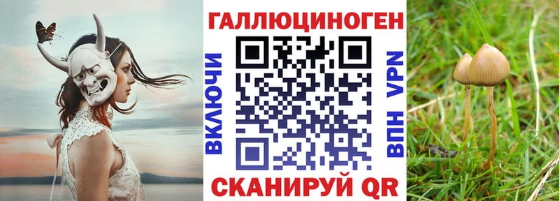 купить наркотик  Полярные Зори  Псилоцибиновые грибы прущие грибы 